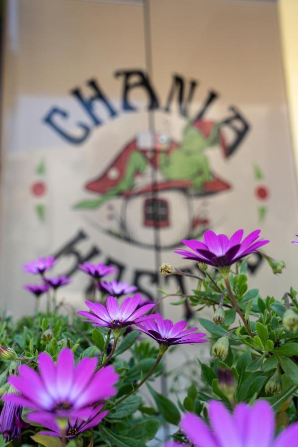 Chania Youth Hostal *